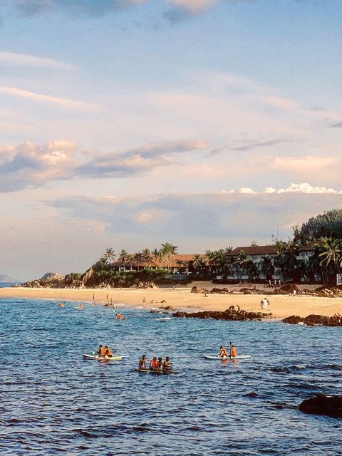 Paddleboarders on calm water in front of a palm-lined beach in late-afternoon light — shot on A CFX