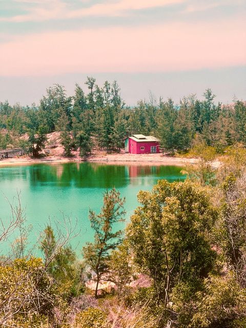 A small red house beside a green lagoon, framed by pine trees — shot on B 01