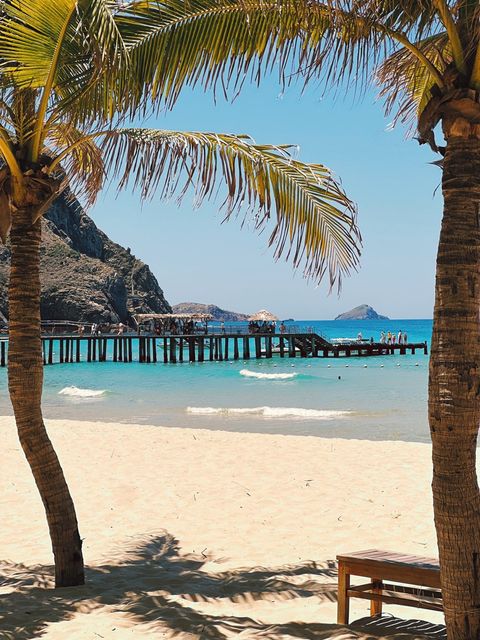 Palm trunks framing a white-sand beach and a wooden pier on turquoise water — shot on A OFX