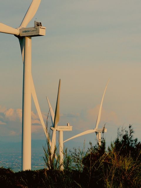 Three wind turbines rising above wild grass, the sea hazy in the distance — shot on ELEV DAWN