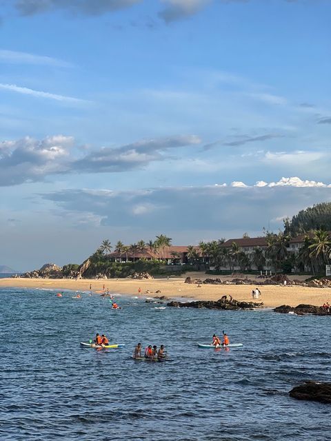 Paddleboarders on calm water in front of a palm-lined beach in late-afternoon light — Original
