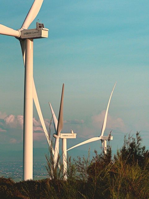 Three wind turbines rising above wild grass, the sea hazy in the distance — shot on B 01